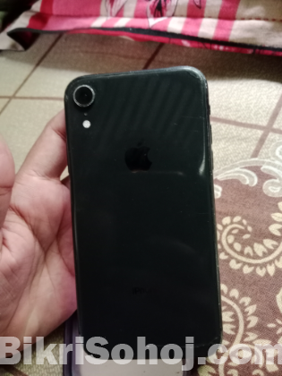 Apple xr